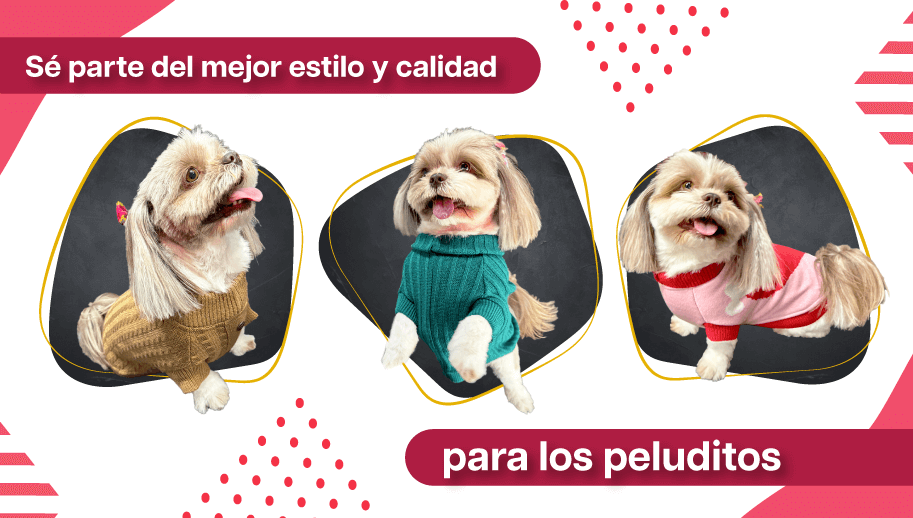 ropa para mascotas en ecuador
